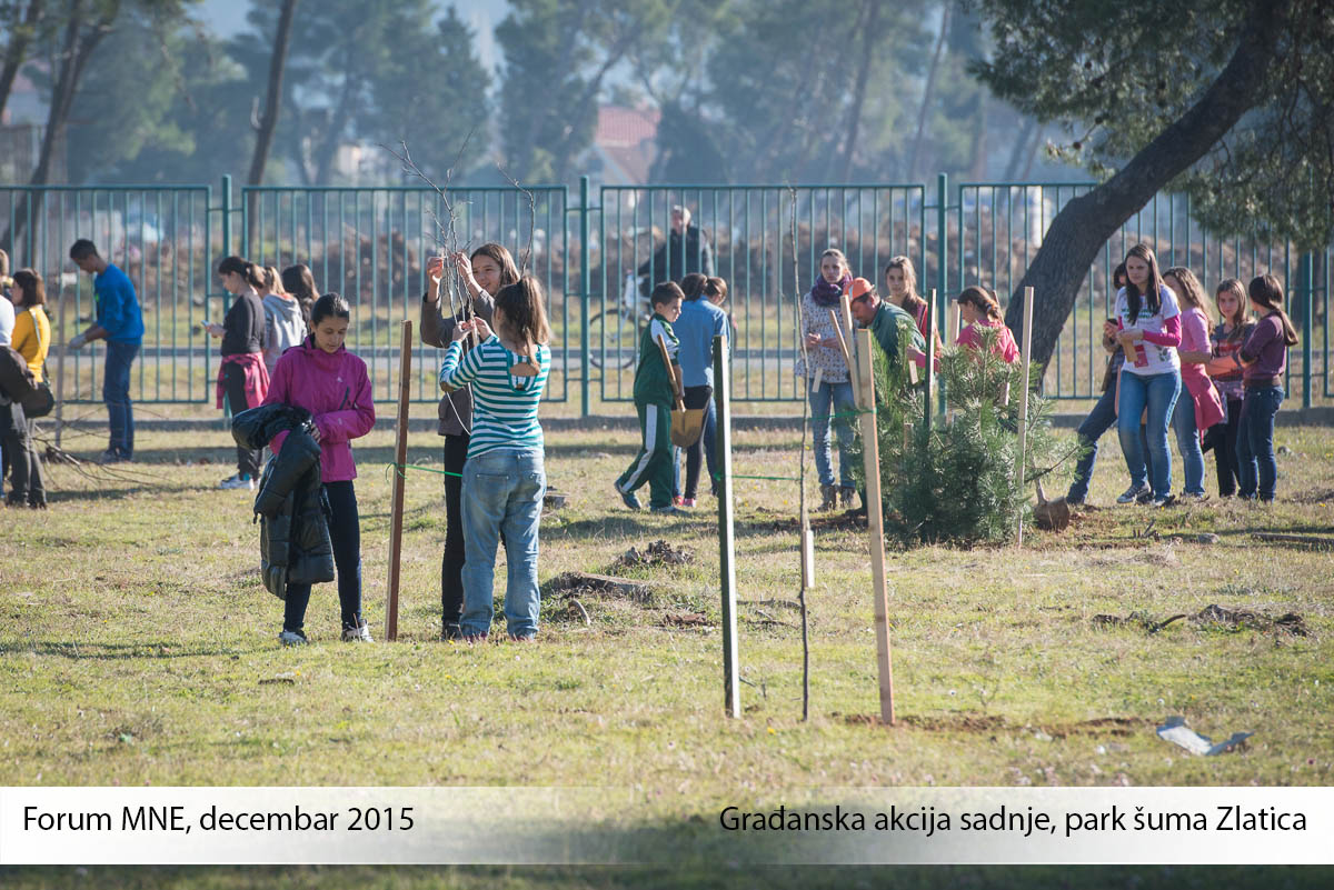 CGES supported the project of young people for Green Montenegro Youth zelena crna gora
