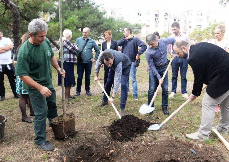 ZAPOSLENI CGES-a POSADILI 22 STABLA U OKVIRU PROJEKTA MOJE DRVO