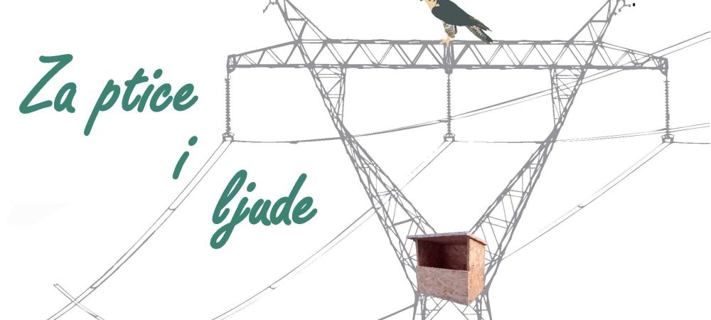 CGES and CZIP in Celebration of European Bird Watching Day Maj