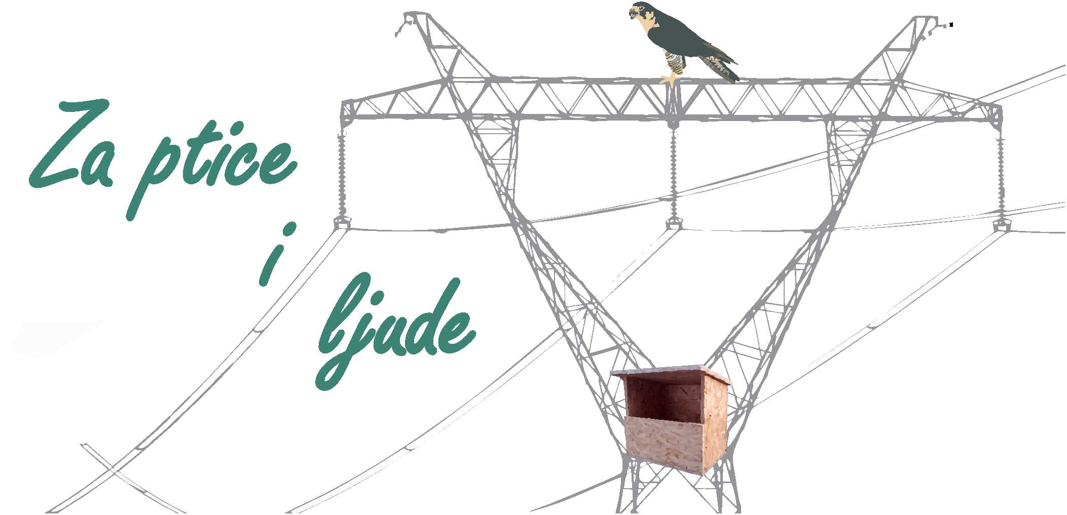 CGES I CZIP U SUSRET EVROPSKOM DANU POSMATRANJA PTICA