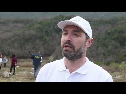 Kampanja „Naša maslina“