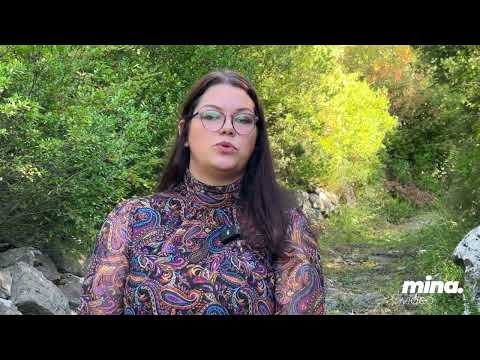 CGES izjava Ilda Dautovic