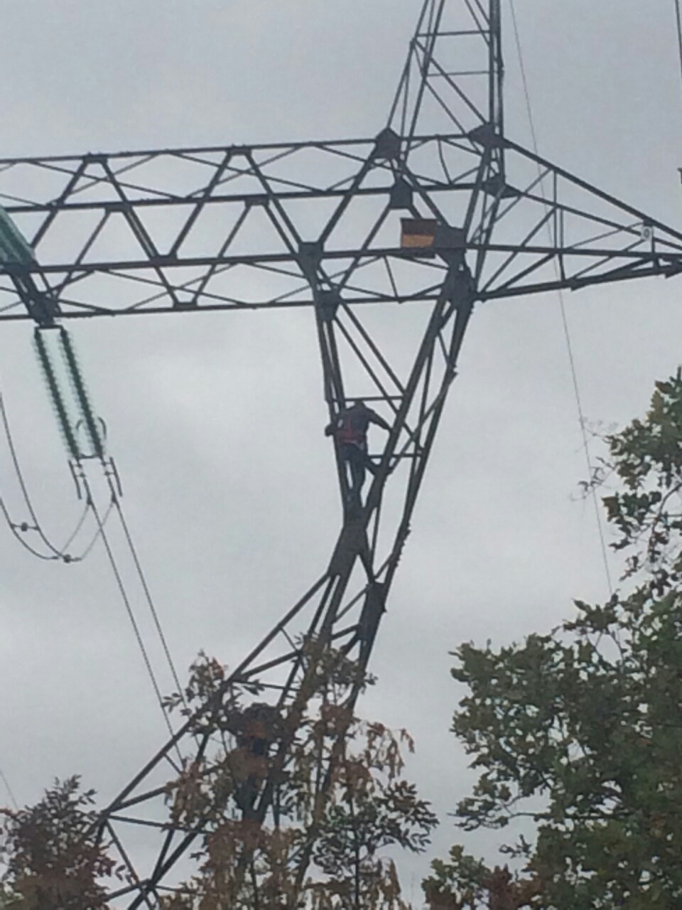 POSTAVLJENA POSLJEDNJA KUĆICA ZA GNIJEŽDENJE PTICA